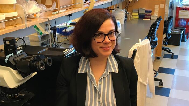 Türk Bilim İnsanına ABD’den Ödül