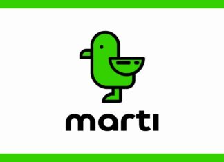 Martı, E-Ulaşım Lisansı İçin Onay Aldı