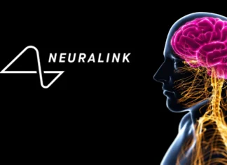 Neuralink, 2031’e Kadar 1 Milyar Dolar Gelir Hedefliyor