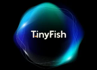 TinyFish 47 Milyon Dolar Yatırım Alarak Platformunu Büyütecek